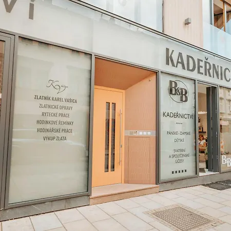 Citybeat Apartments, 400m From The Square * Pilzno