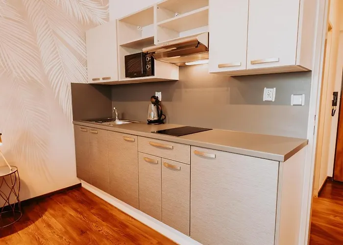 Citybeat Apartments, 400m From The Square * Пльзень
